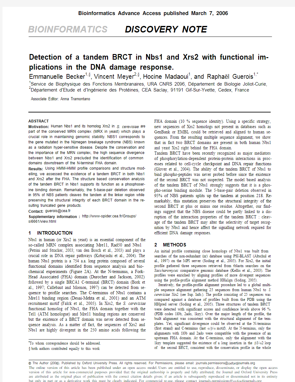 BIOINFORMATICS DISCOVERY NOTE Detection of a tandem BRCT in Nbs1 and Xrs2 with functional i
