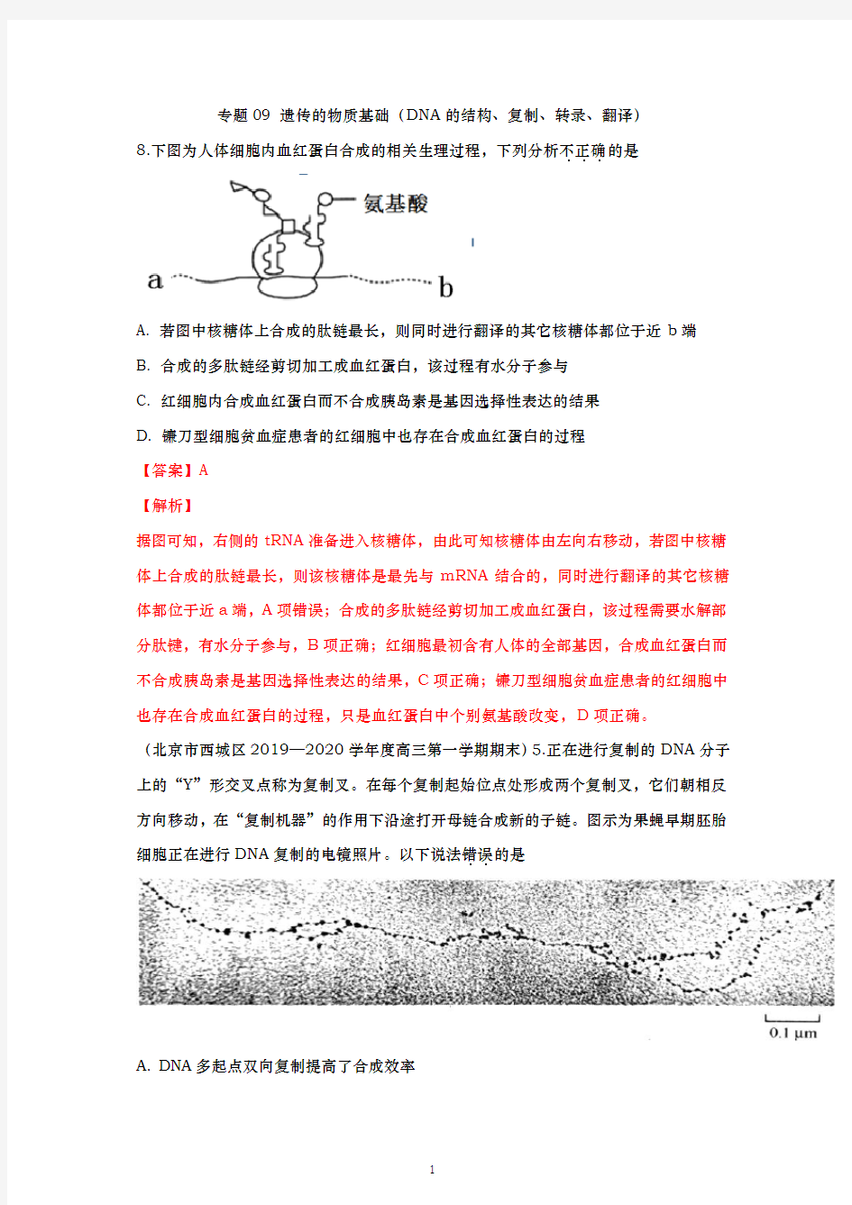 【冲刺必刷】2020届高考生物模拟题分类汇编专题09 遗传的物质基础(DNA的结构、复制、转录、翻译)