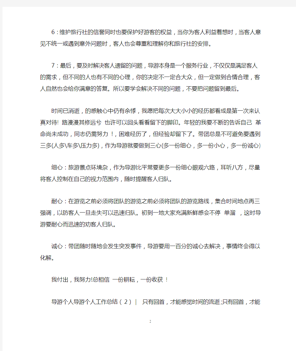 导游个人工作总结4篇