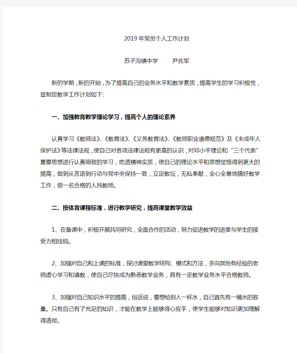 2019党员个人工作计划