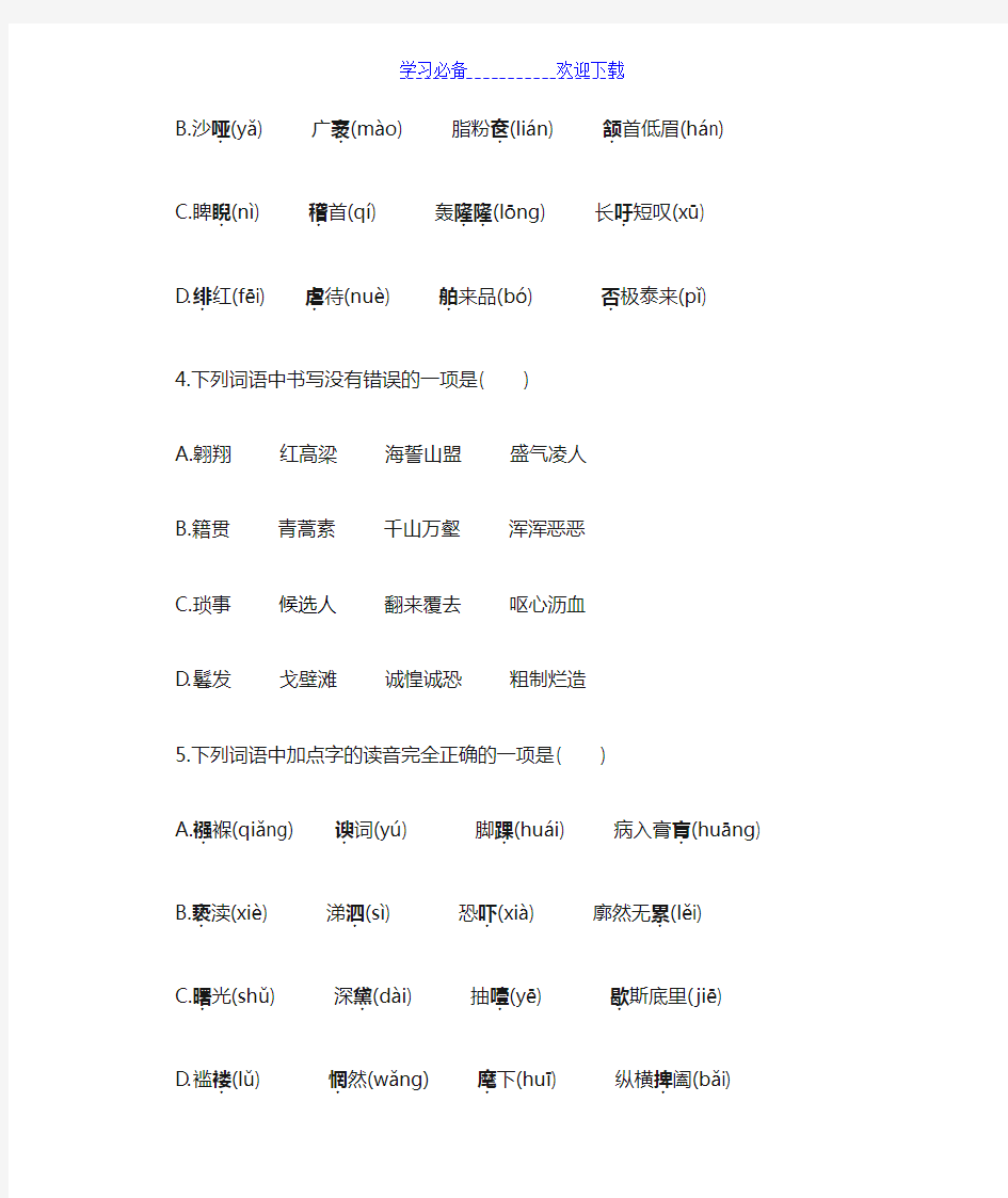 初中语文字音字形练习题(选择题-含答案)