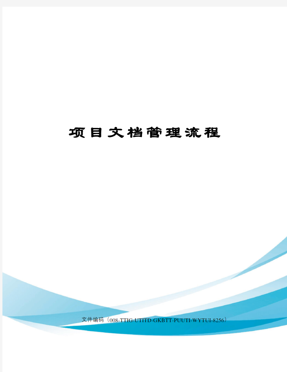 项目文档管理流程