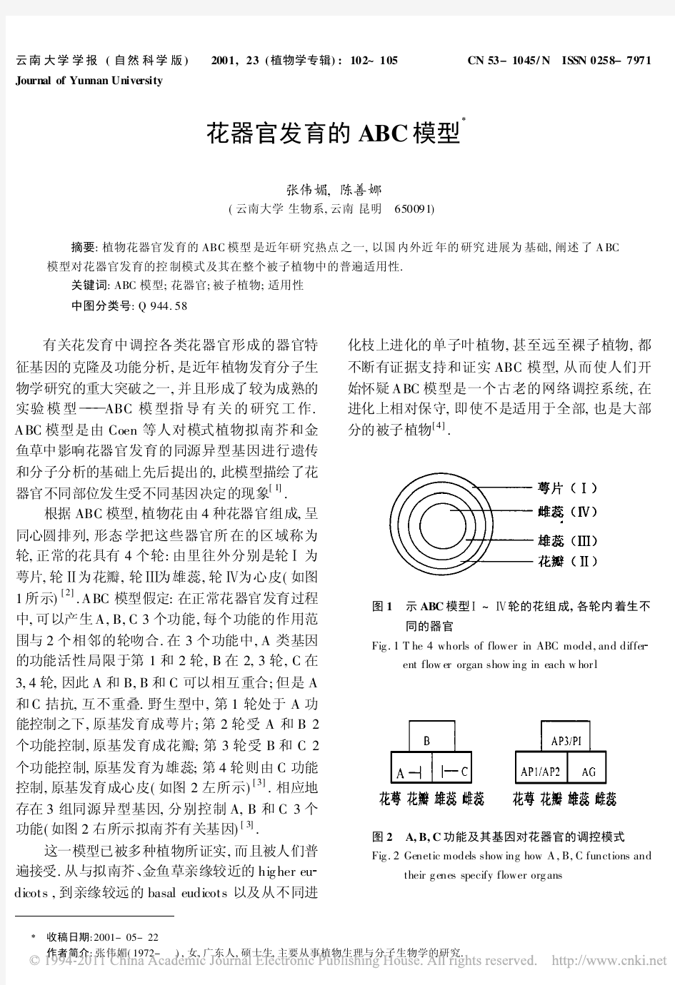 花器官发育的ABC模型