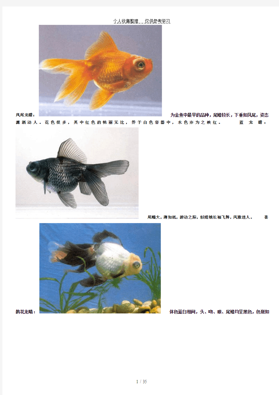 金鱼种类大全(附图)