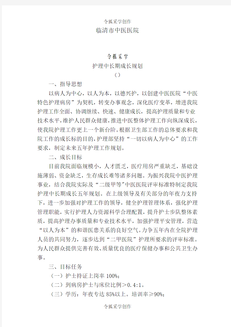 护理中长期发展规划