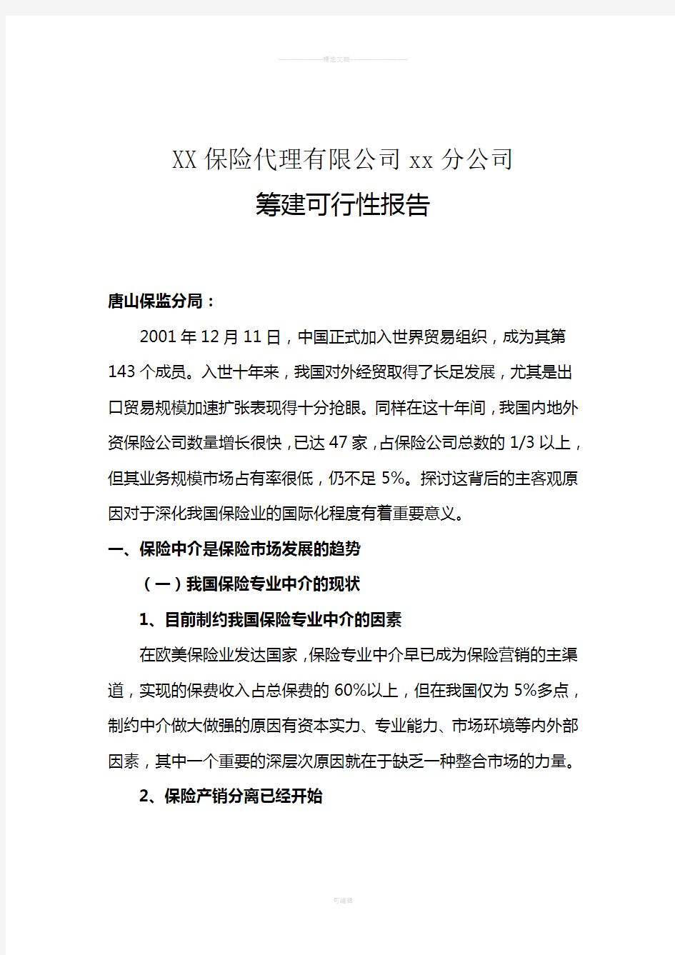 某保险公司可行性报告