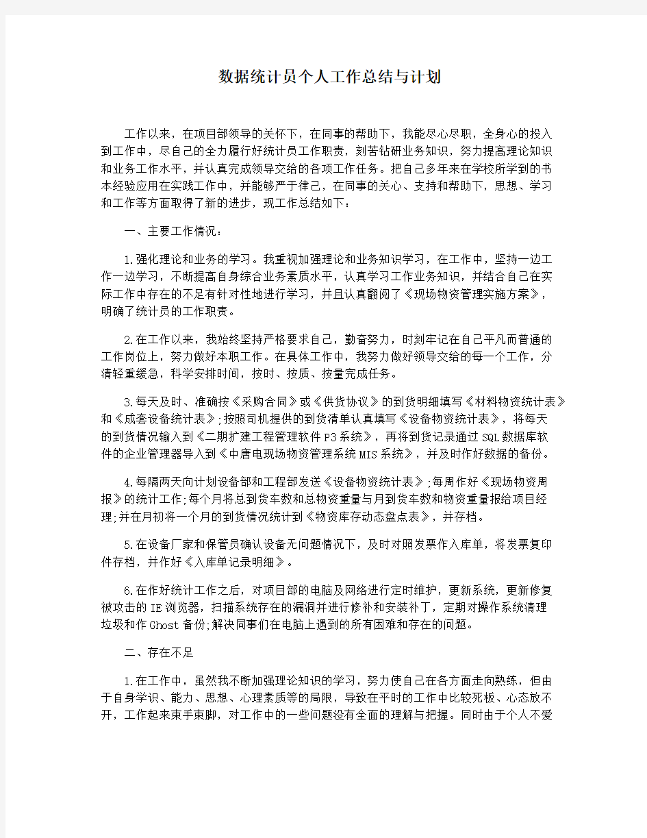 数据统计员个人工作总结与计划