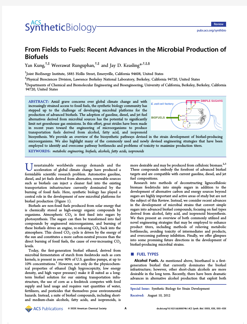 From Fields to Fuels Recent Advances in the Microbial Production of
