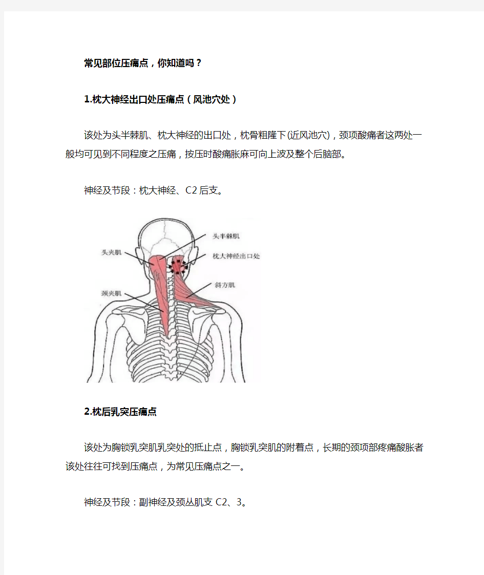 常见部位压痛点