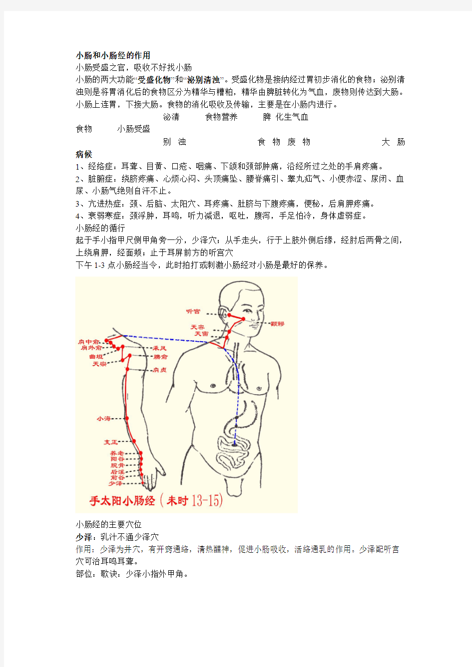 小肠和手太阳小肠经的作用