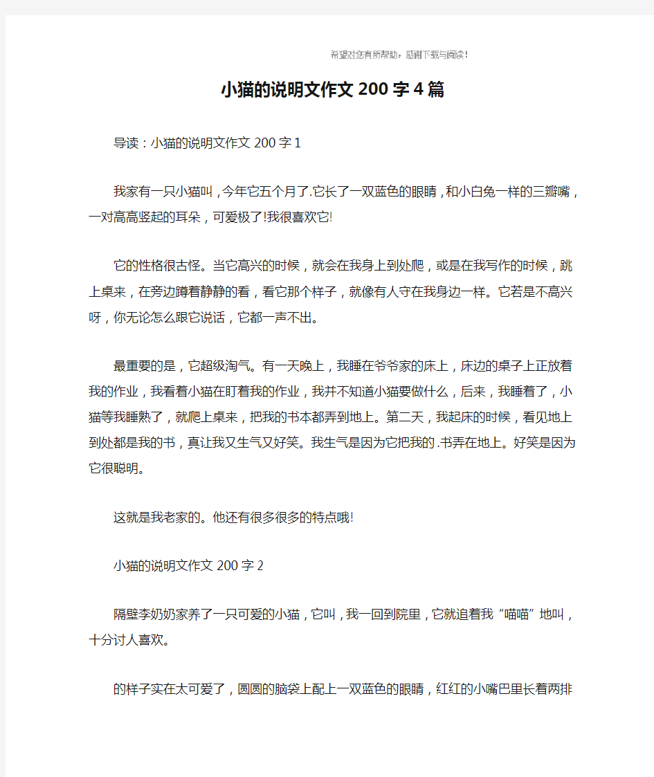 小猫的说明文作文200字4篇