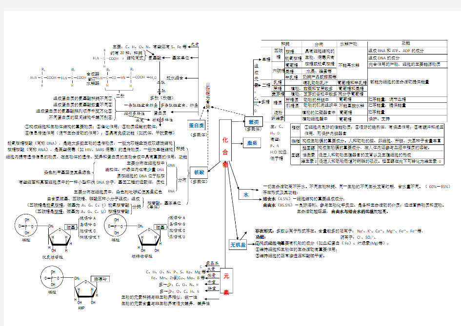 生物必修组成细胞的元素和化合物思维导图