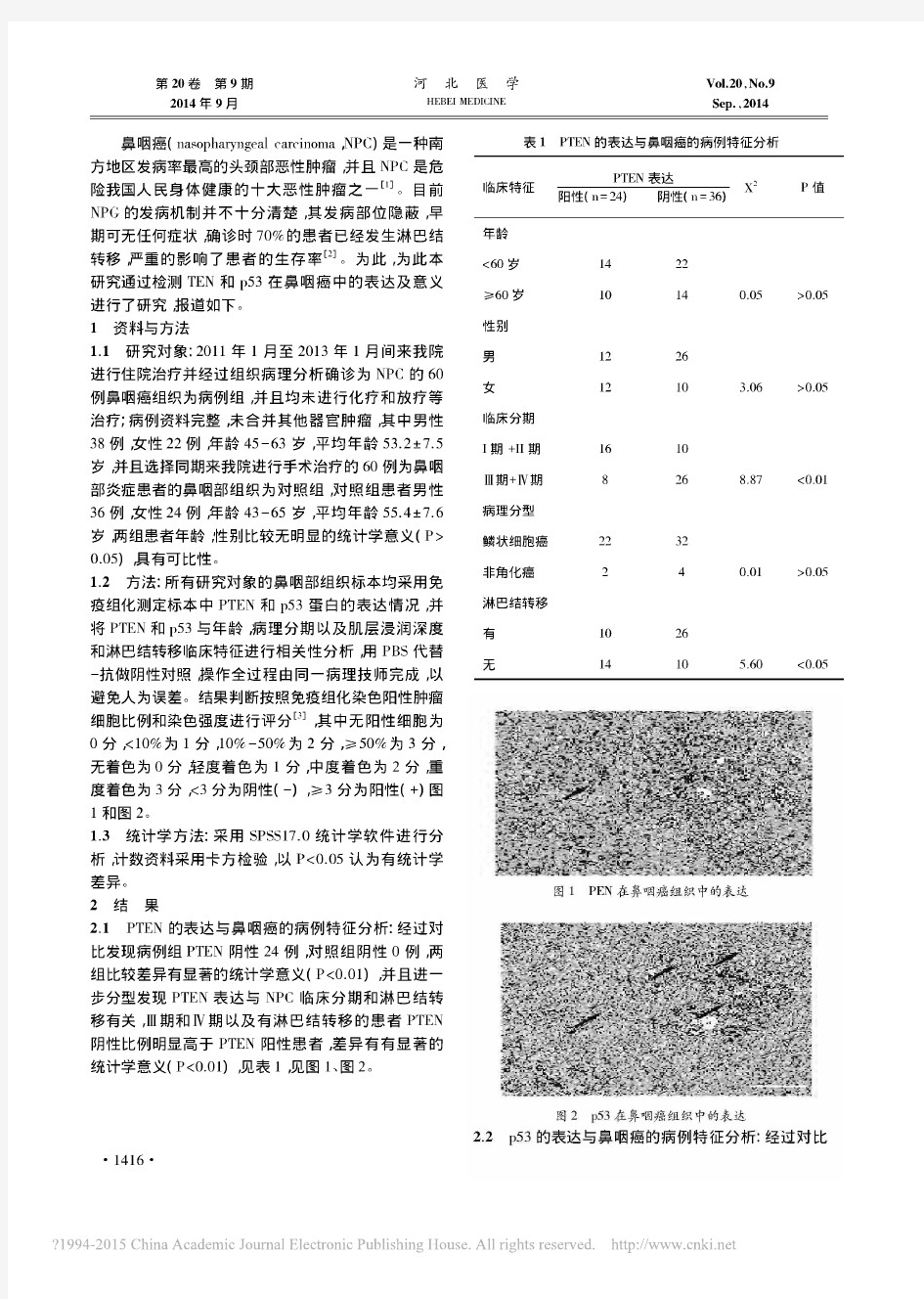 PTEN与p53在鼻咽癌中的表达及意义_郑大勇