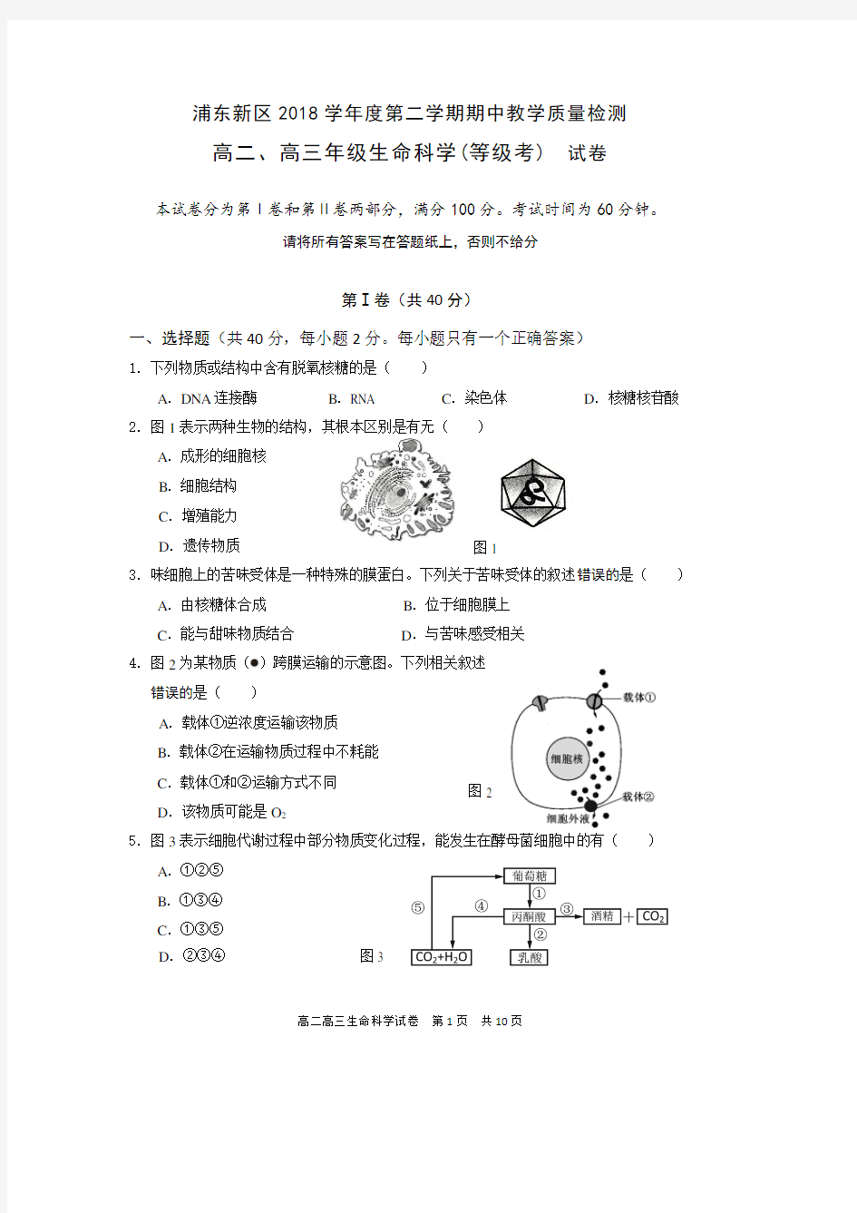 10-2019年浦东二模 生命科学试卷 上海市