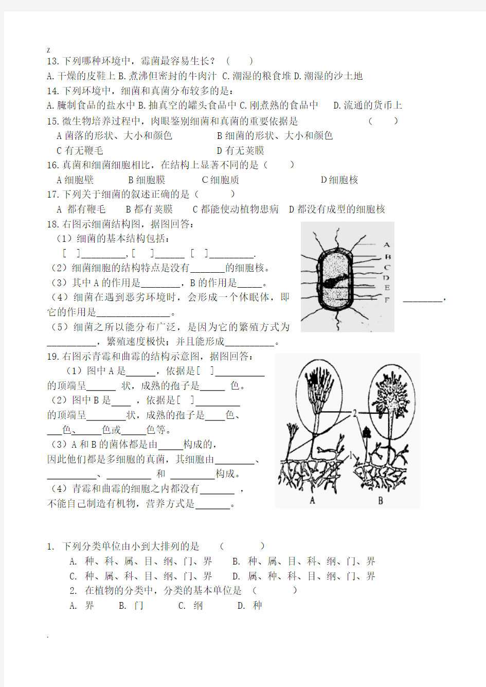 八年级生物人教版第四章细菌和真菌练习题