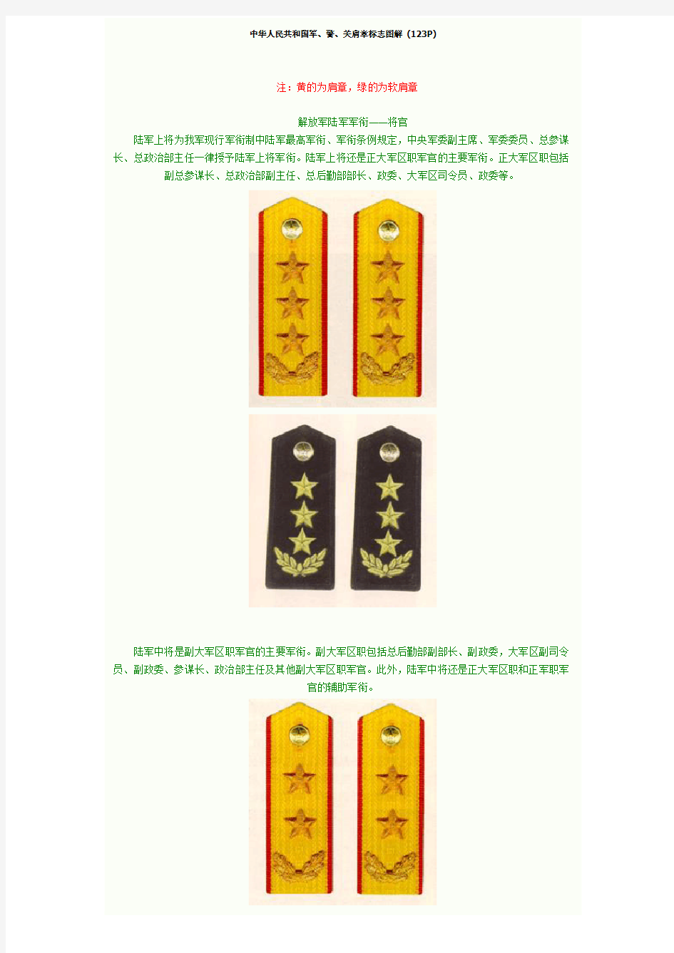 中华人民共和国军、警、关肩章标志图解