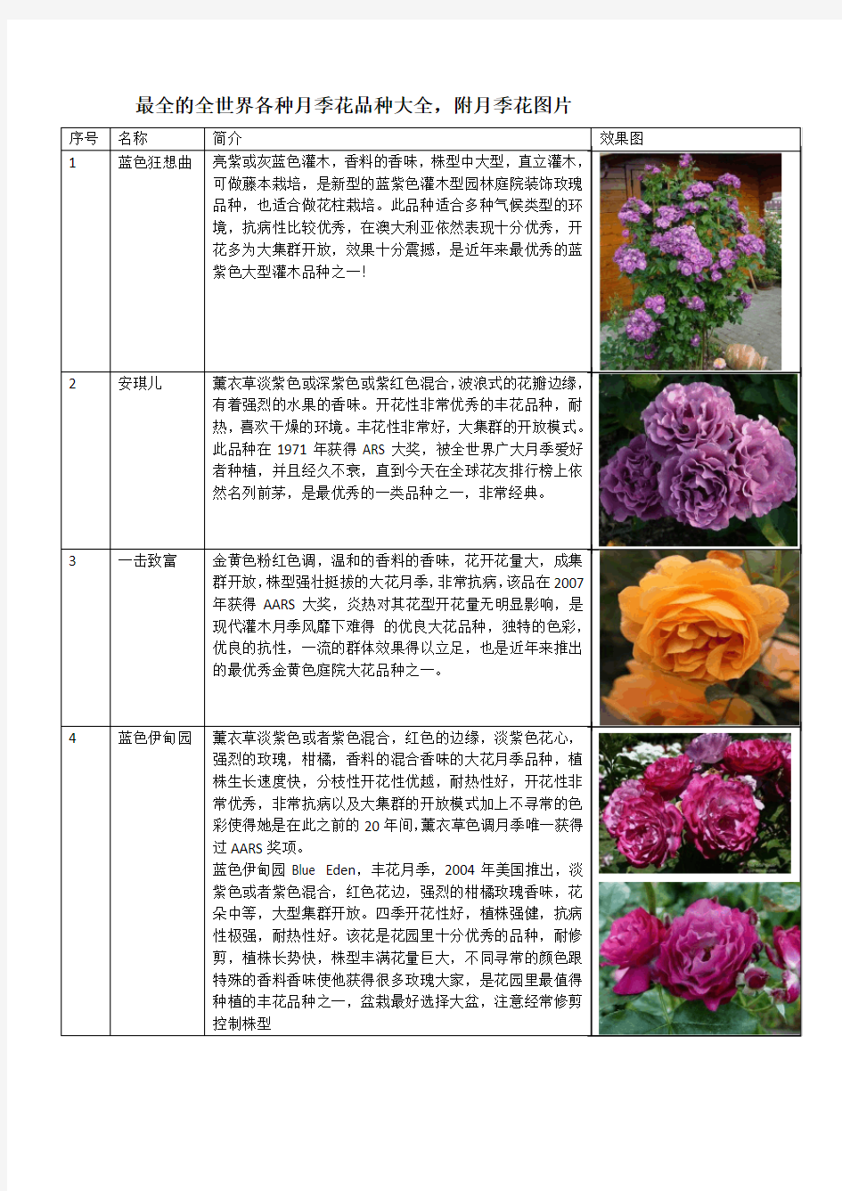 最全的全世界各种月季花品种大全,附月季花图片