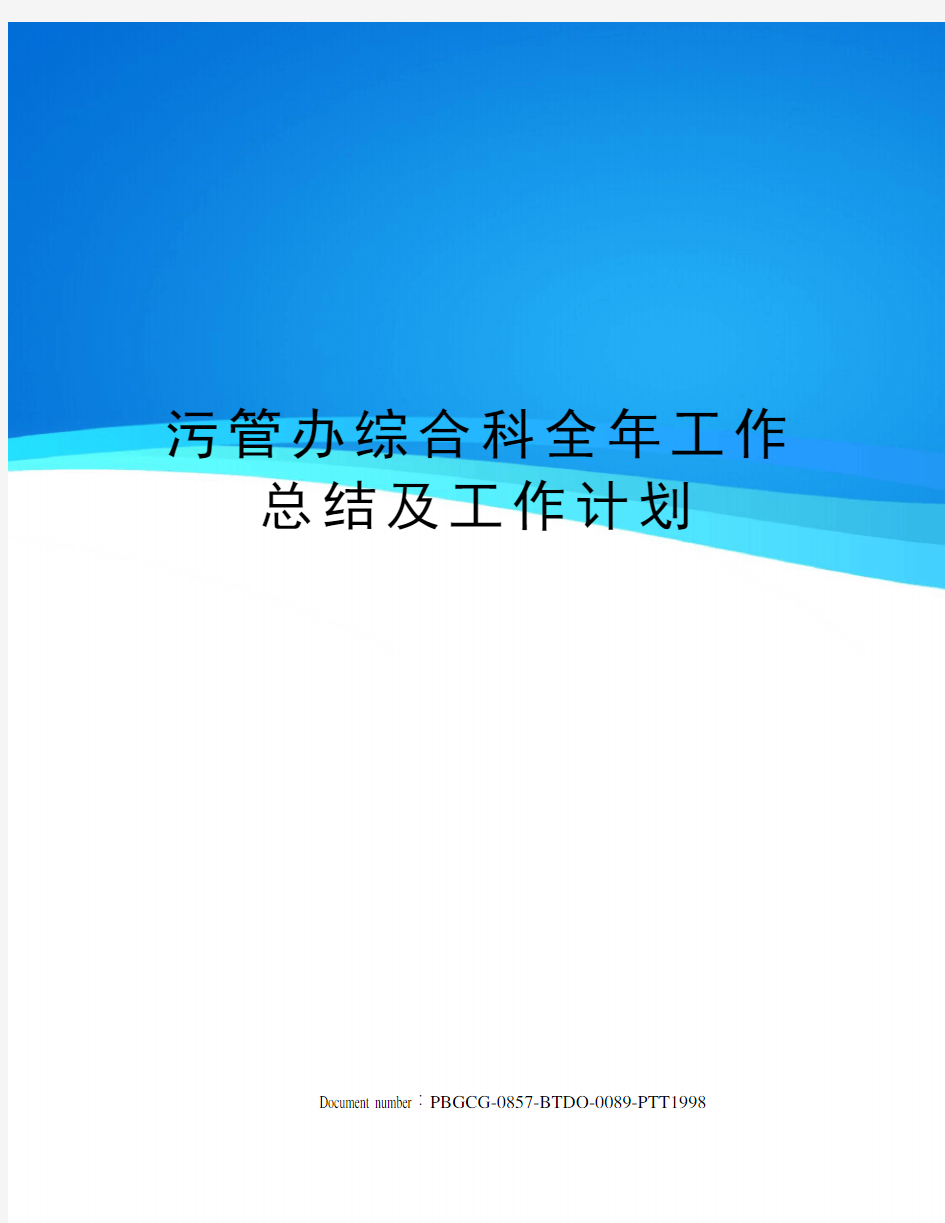 污管办综合科全年工作总结及工作计划修订版