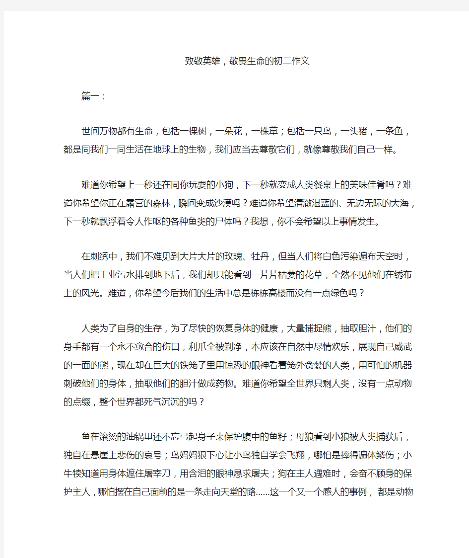 致敬英雄,敬畏生命的初二作文