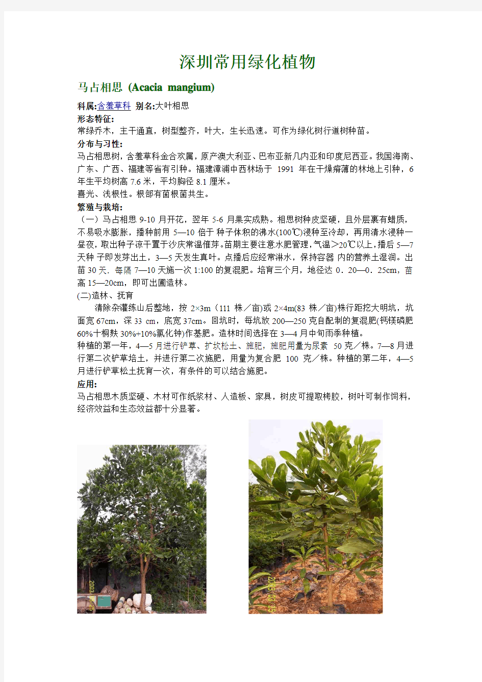 深圳常用绿化植物