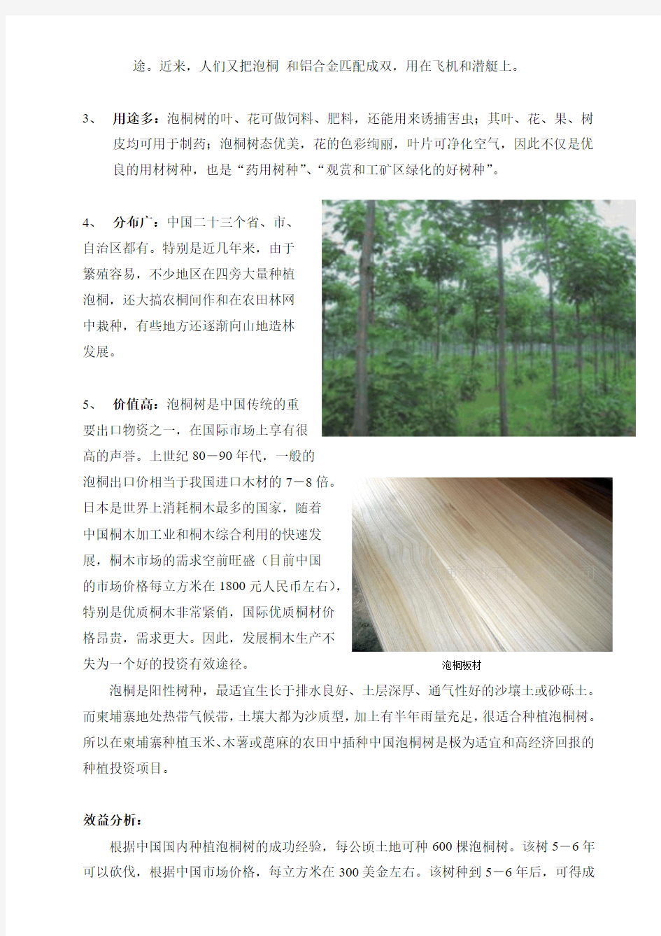 柬埔寨种植中国泡桐树的可行性报告