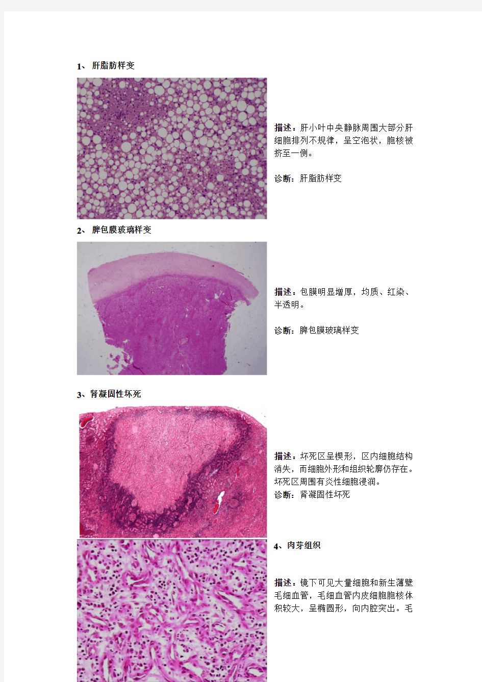 病理切片整理