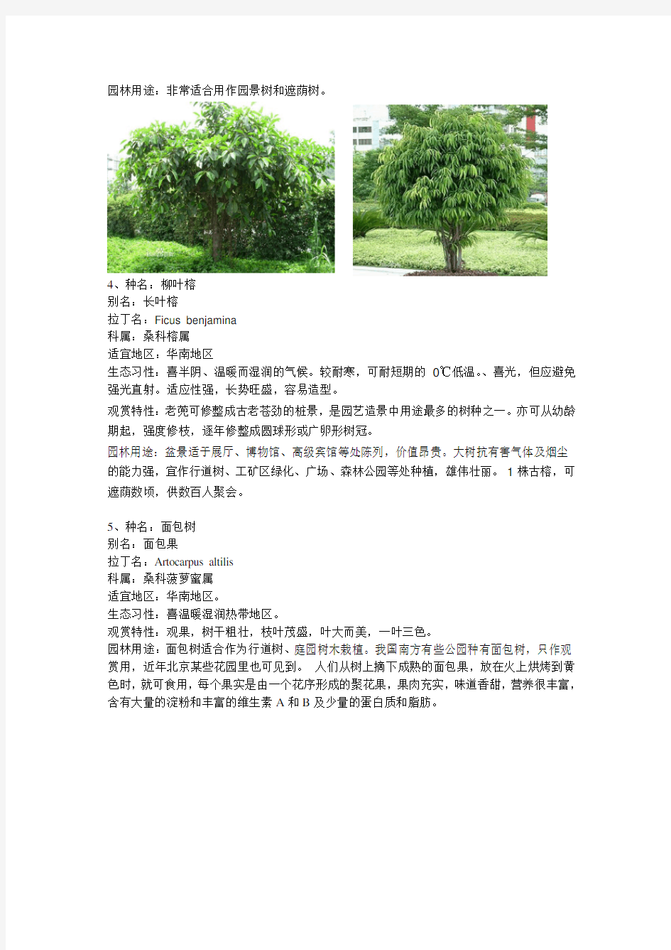 常见园林植物广东省