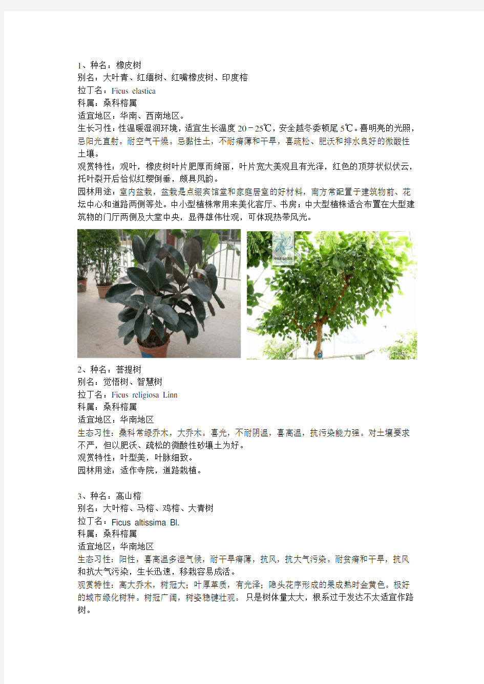 常见园林植物广东省