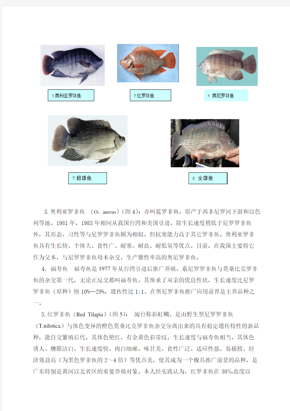 罗非鱼养殖主要种类(附图)