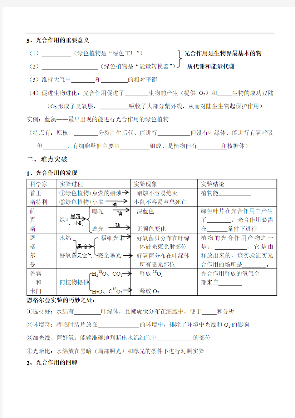 最新-第一轮复习材料7——光合作用 精品