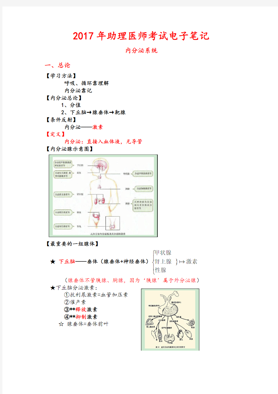 04分泌