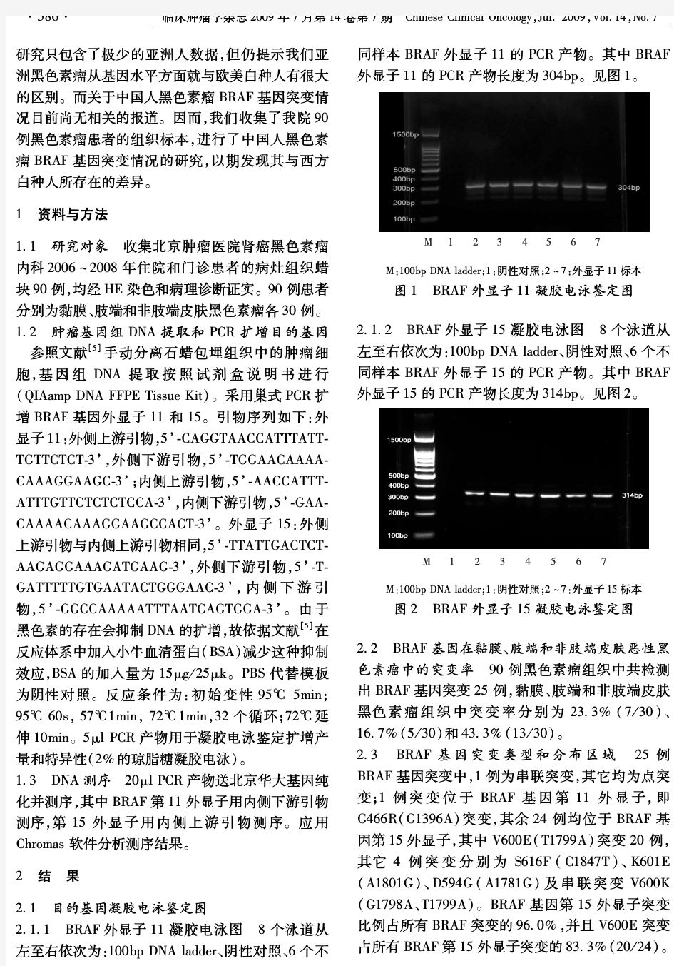 中国黑色素瘤患者BRAF基因突变分析