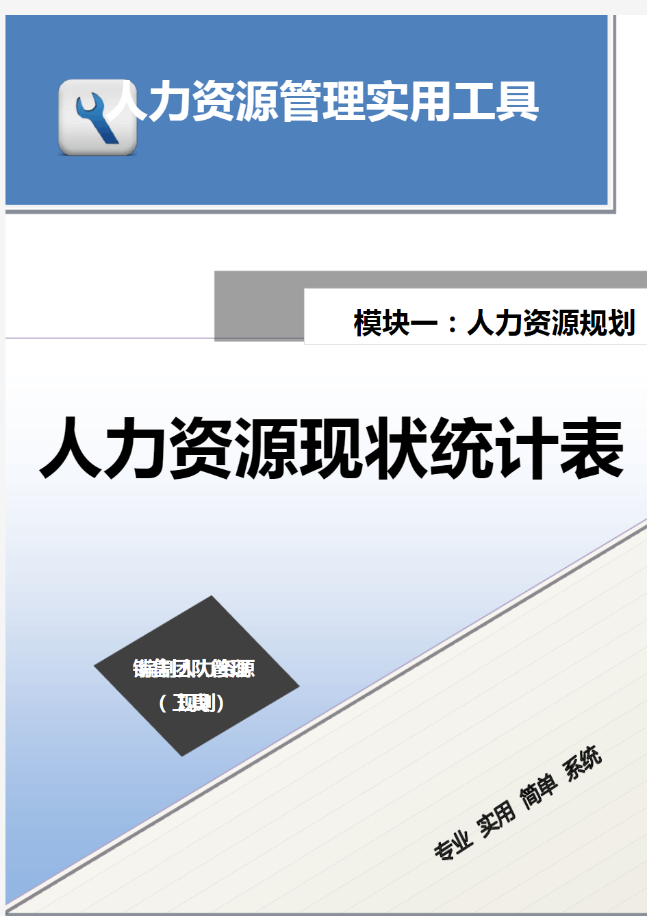 人力资源现状统计表(系列)