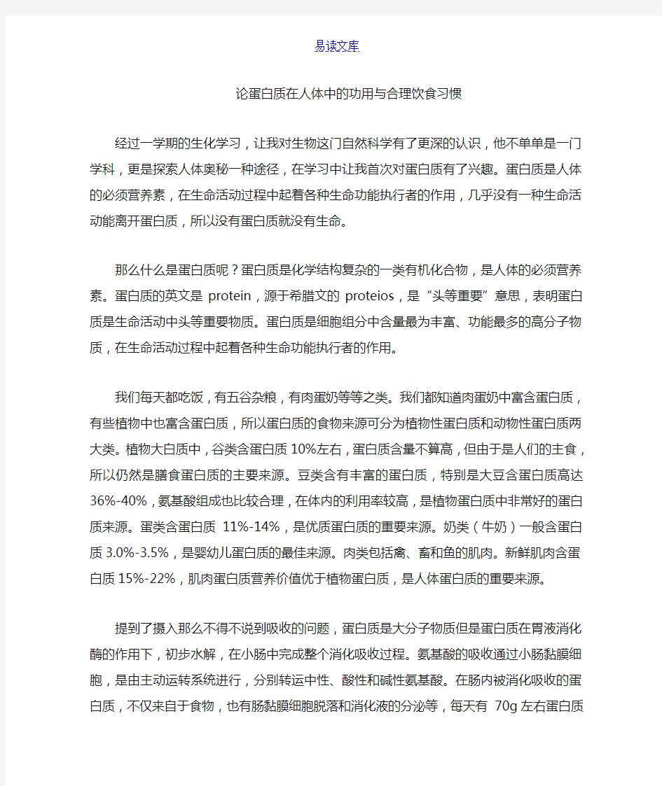 蛋白质在人体中的功能与作用