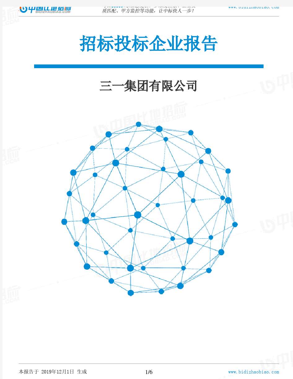 三一集团有限公司-招投标数据分析报告