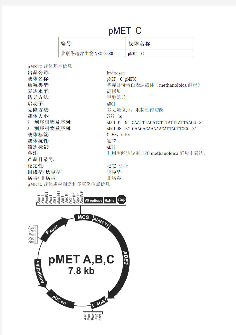 pMET C酵母表达载体说明