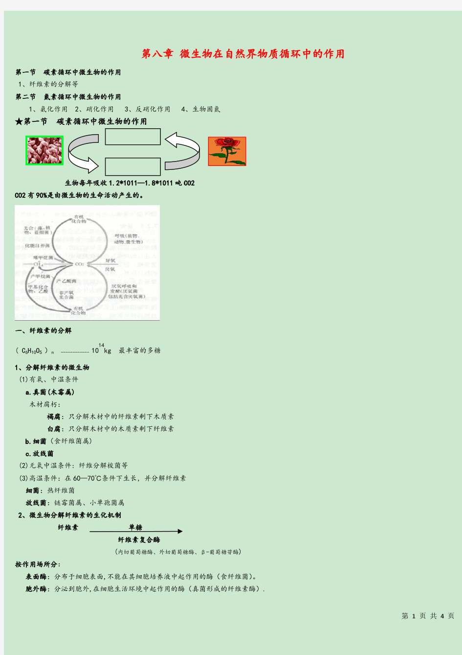 第八章微生物在自然界碳氮素循环中的作用