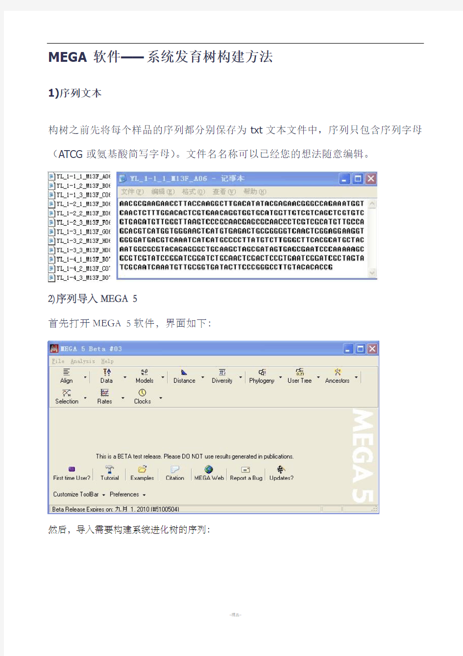 MEGA软件——系统发育树构建方法