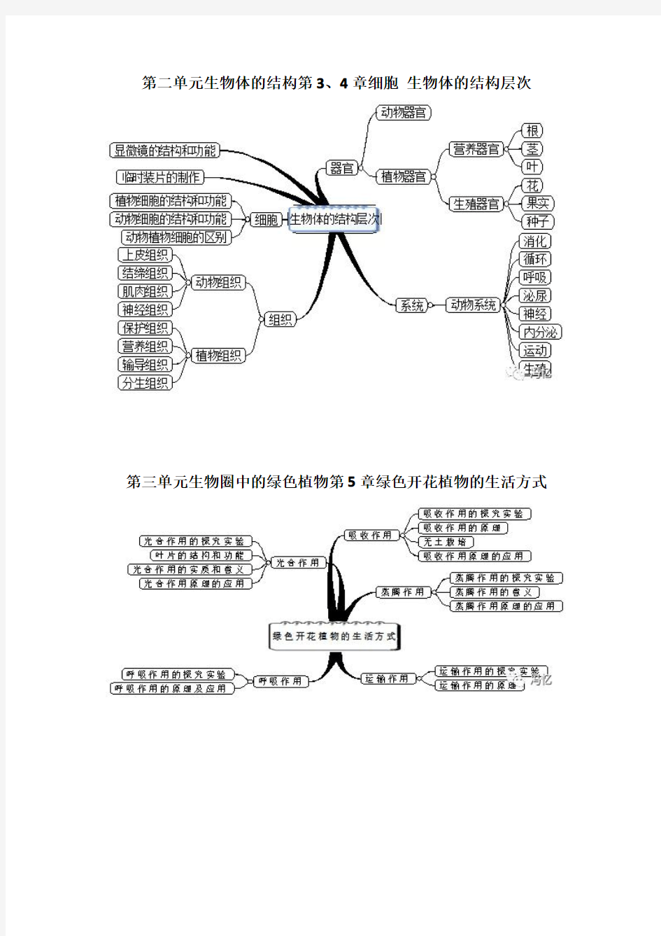 七年级下册生物思维导图