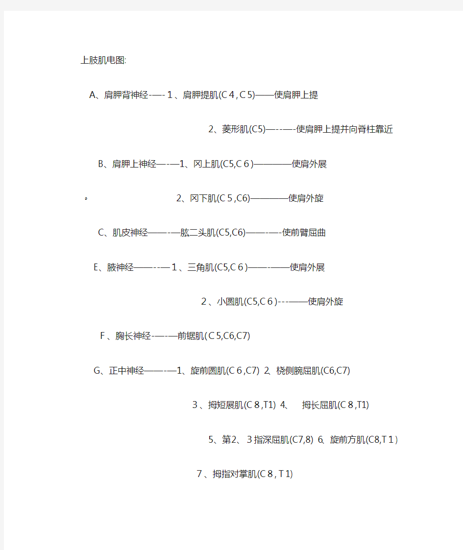 肌肉名称功能及神经支配