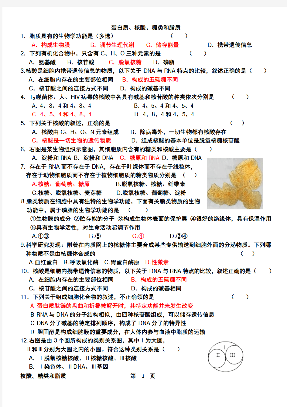 蛋白质、核酸、糖类和脂质