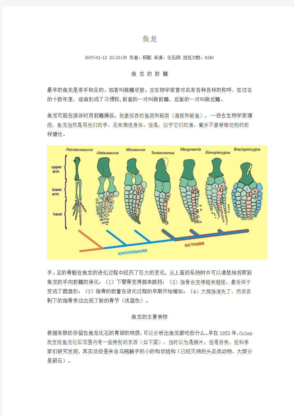 鱼龙、沧龙、鲸