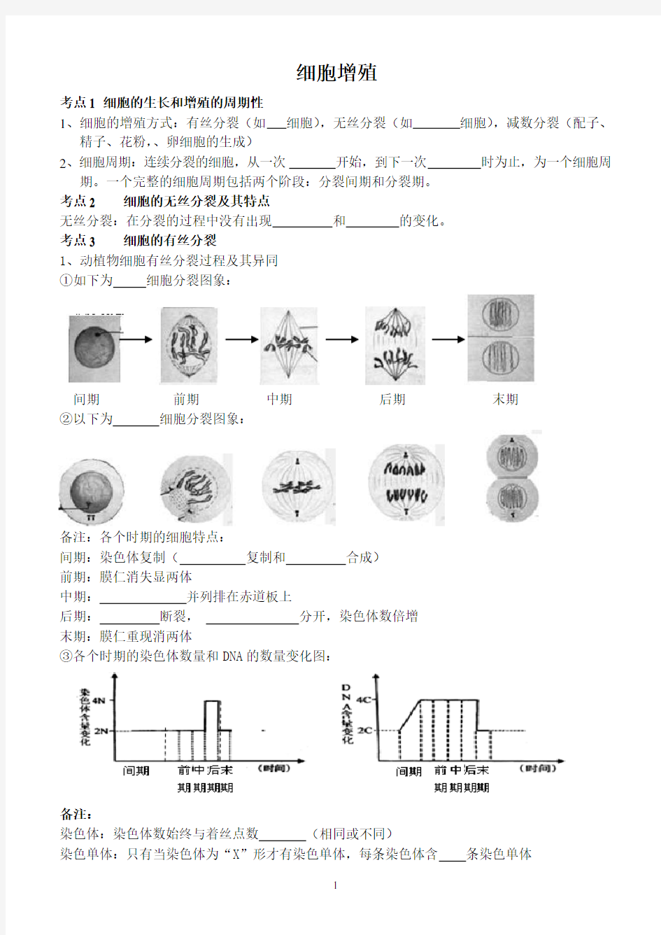 细胞分裂知识点