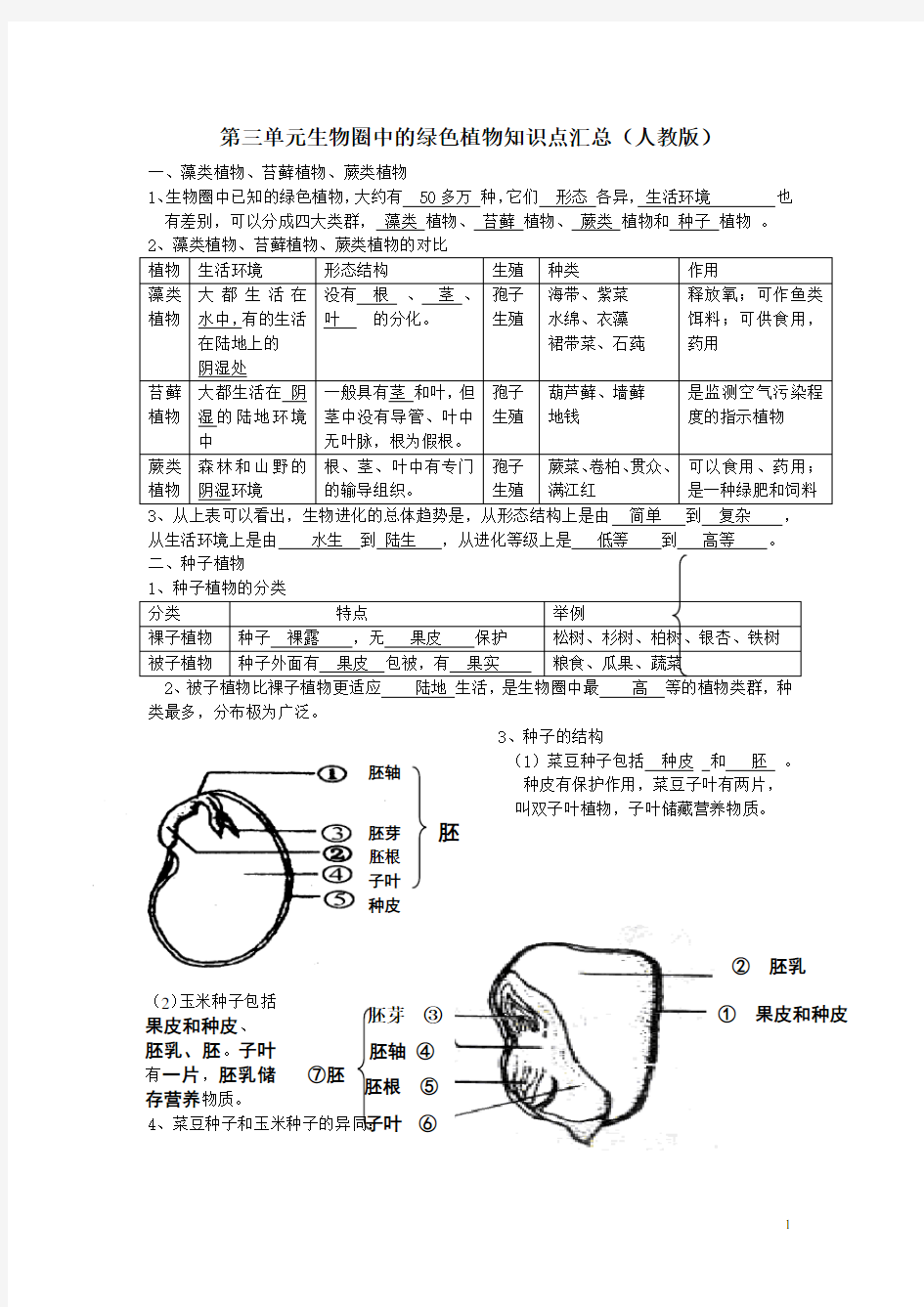 第三单元生物圈中的绿色植物知识点汇总(人教版)