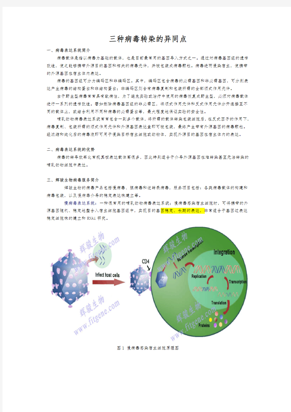 三种病毒转染的异同点