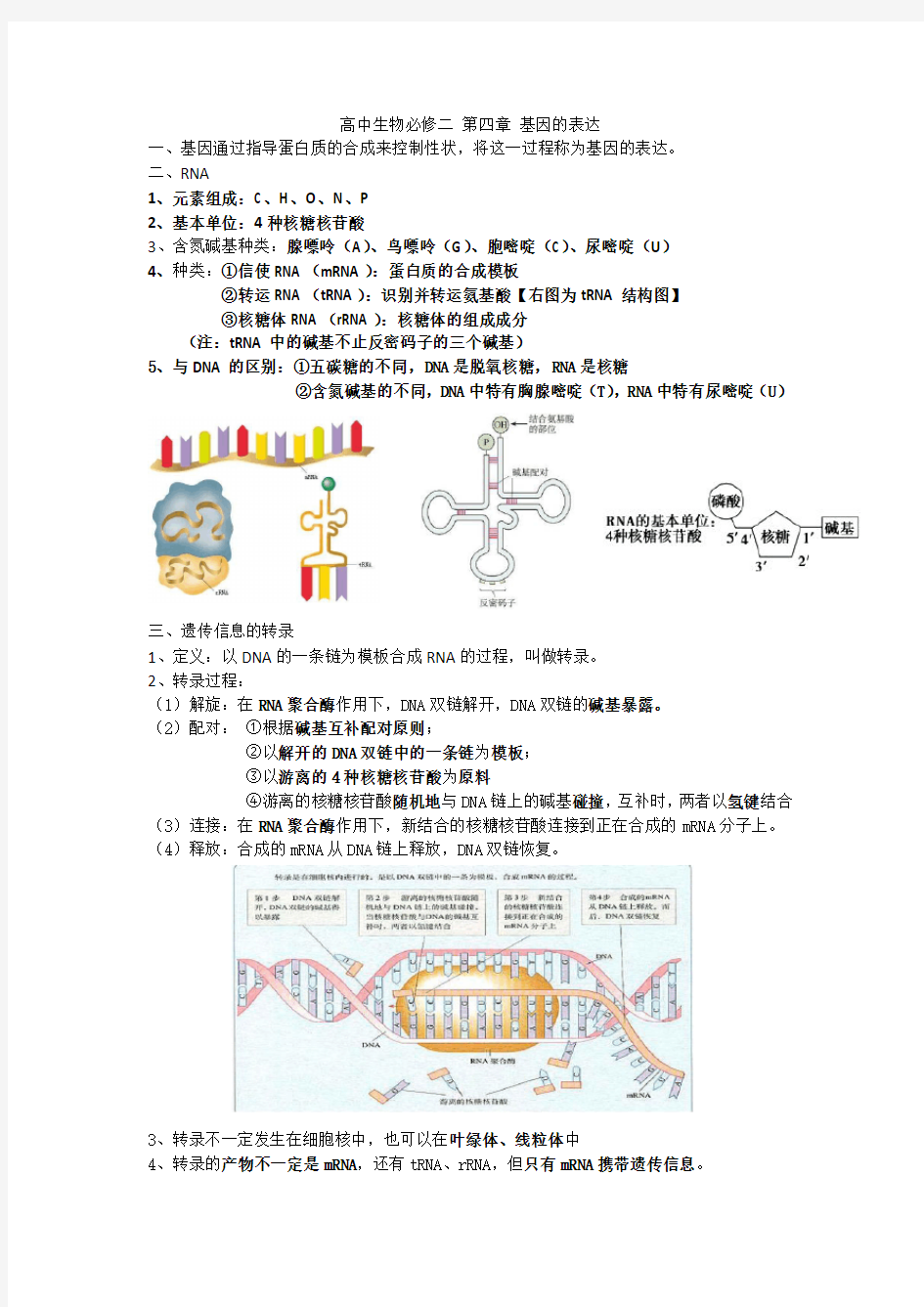 高中生物必修二 第四章 基因的表达