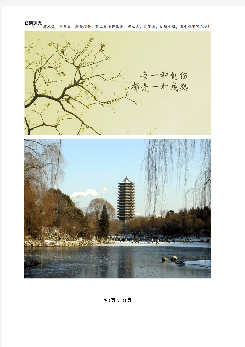 上海历年高考经典真题专题汇编数列专题