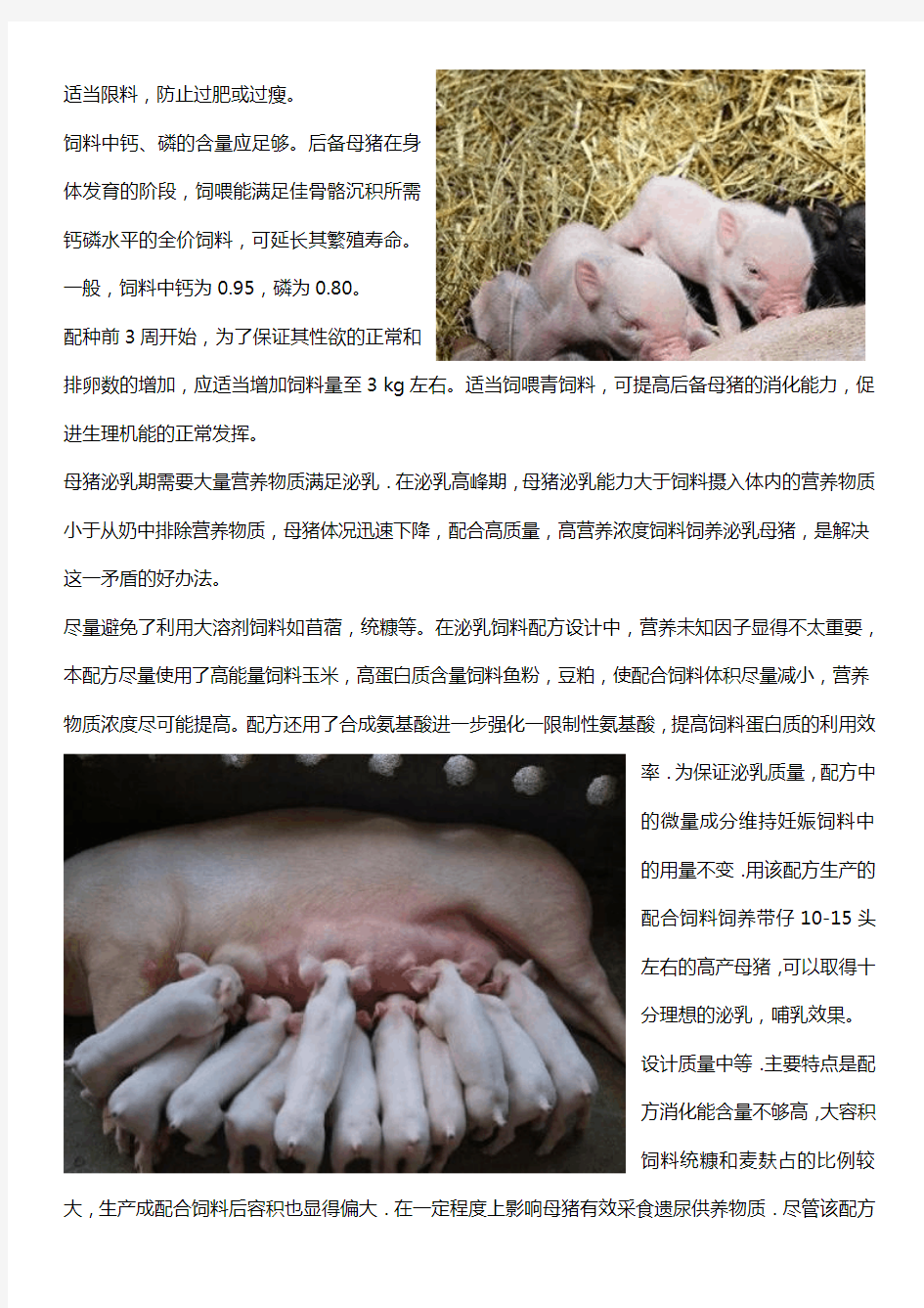 哺乳母猪饲料配方特点_山东哺乳母猪饲料生产厂家