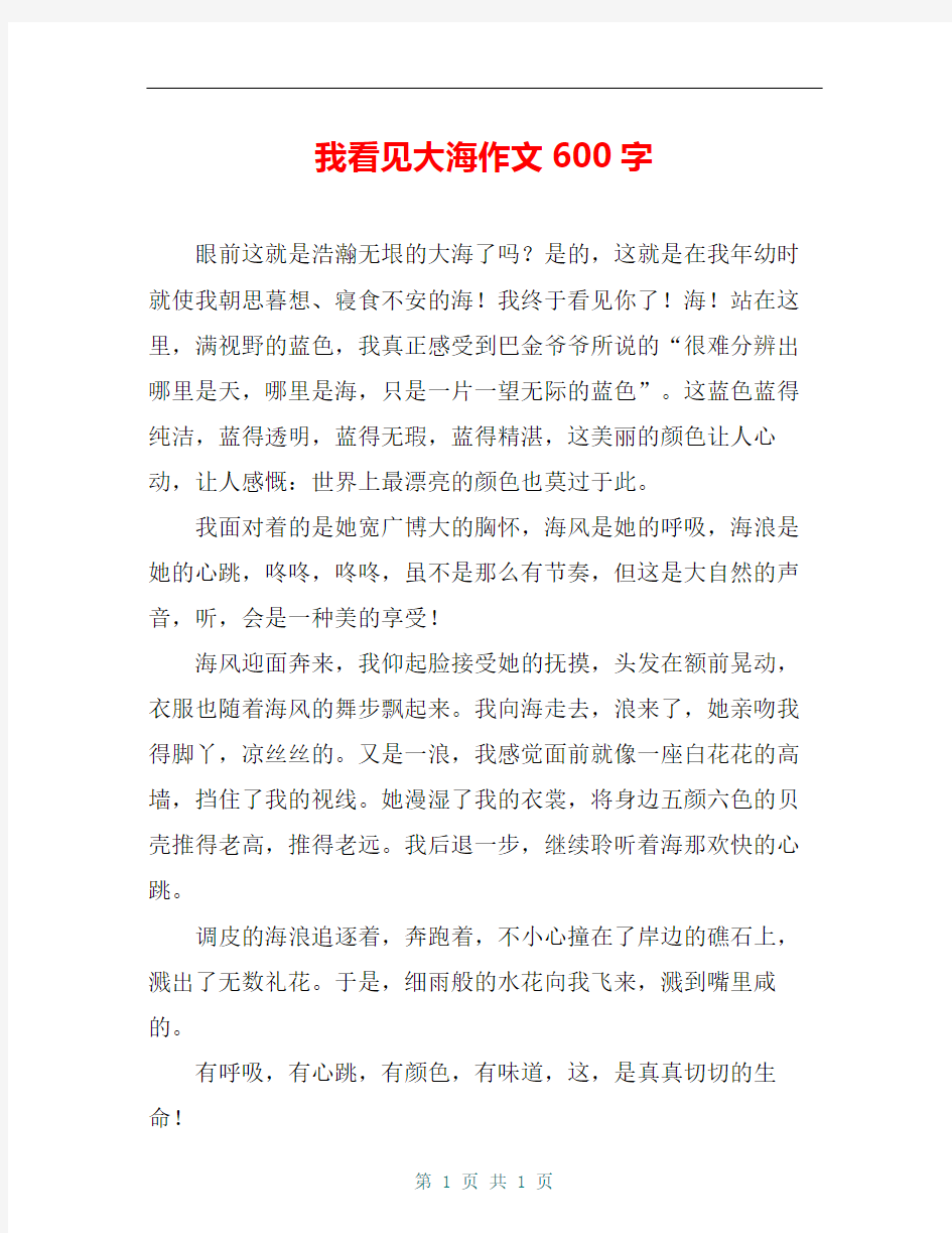 我看见大海作文600字