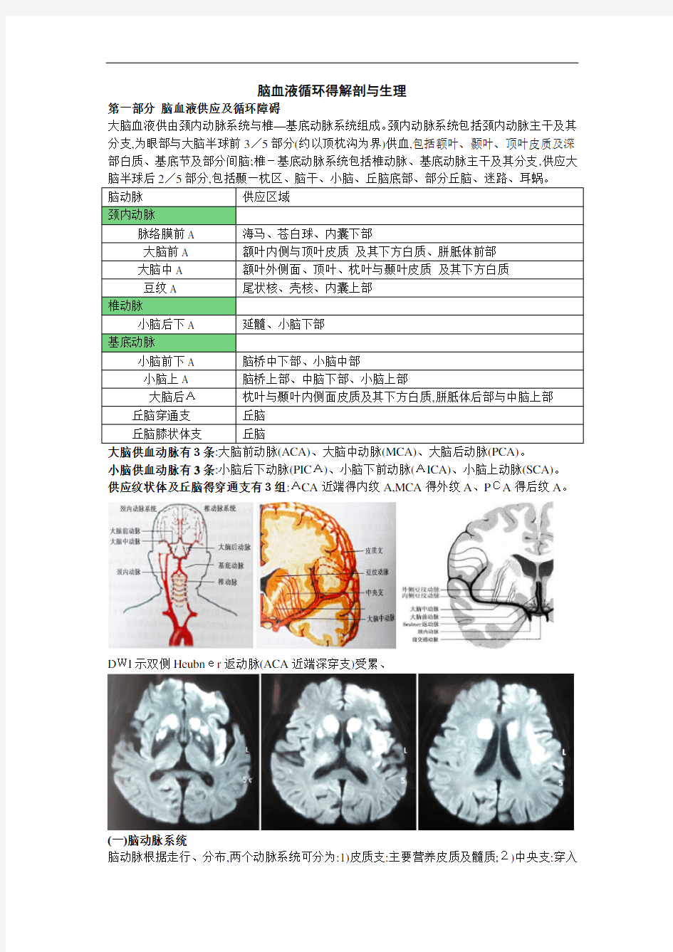 脑血液循环的解剖与生理